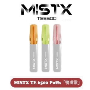 MIST X 鴨嘴獸6500口一次性拋棄式電子煙｜陶瓷芯更穩定｜免充電長續航｜台灣現貨